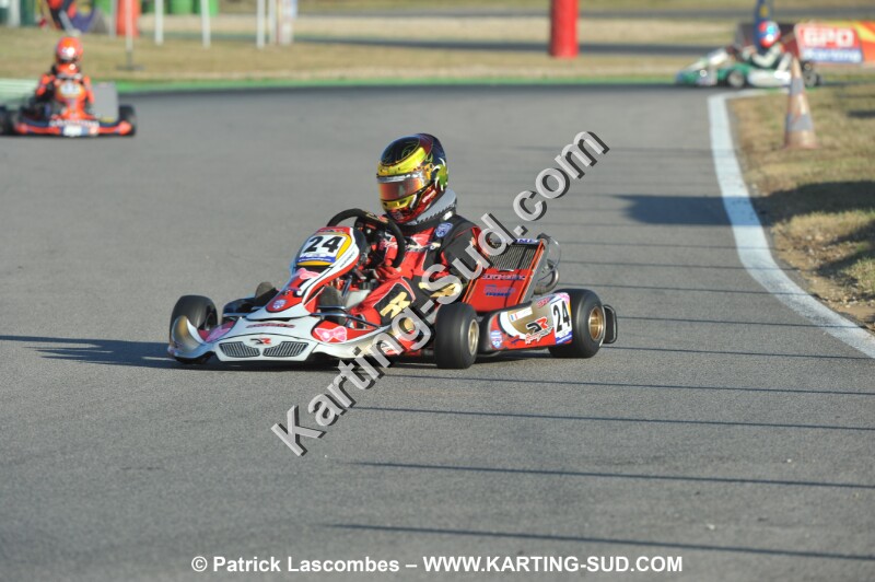 DSC_ (1306).JPG
